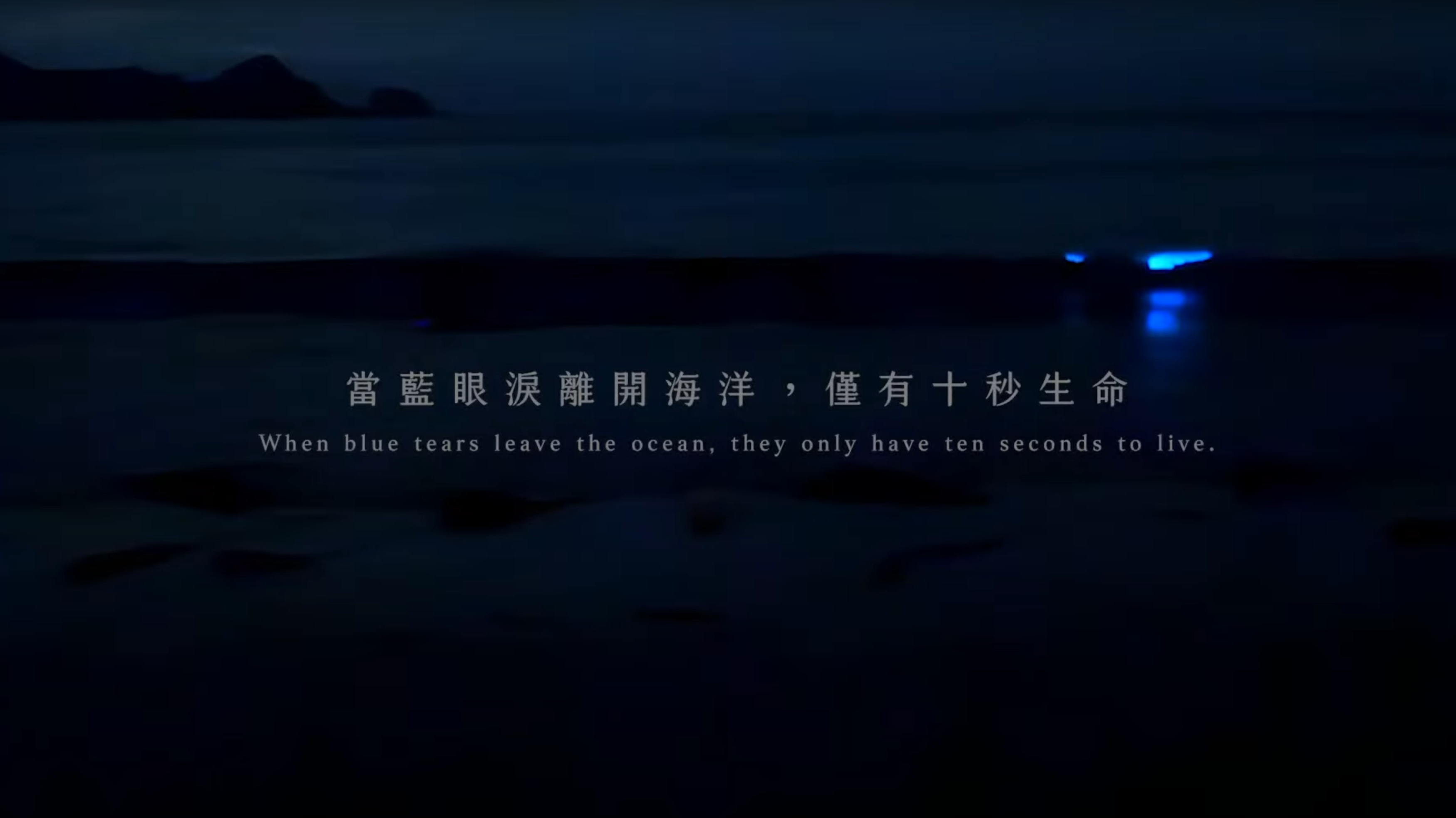 青鳥旅行 中秋禮盒