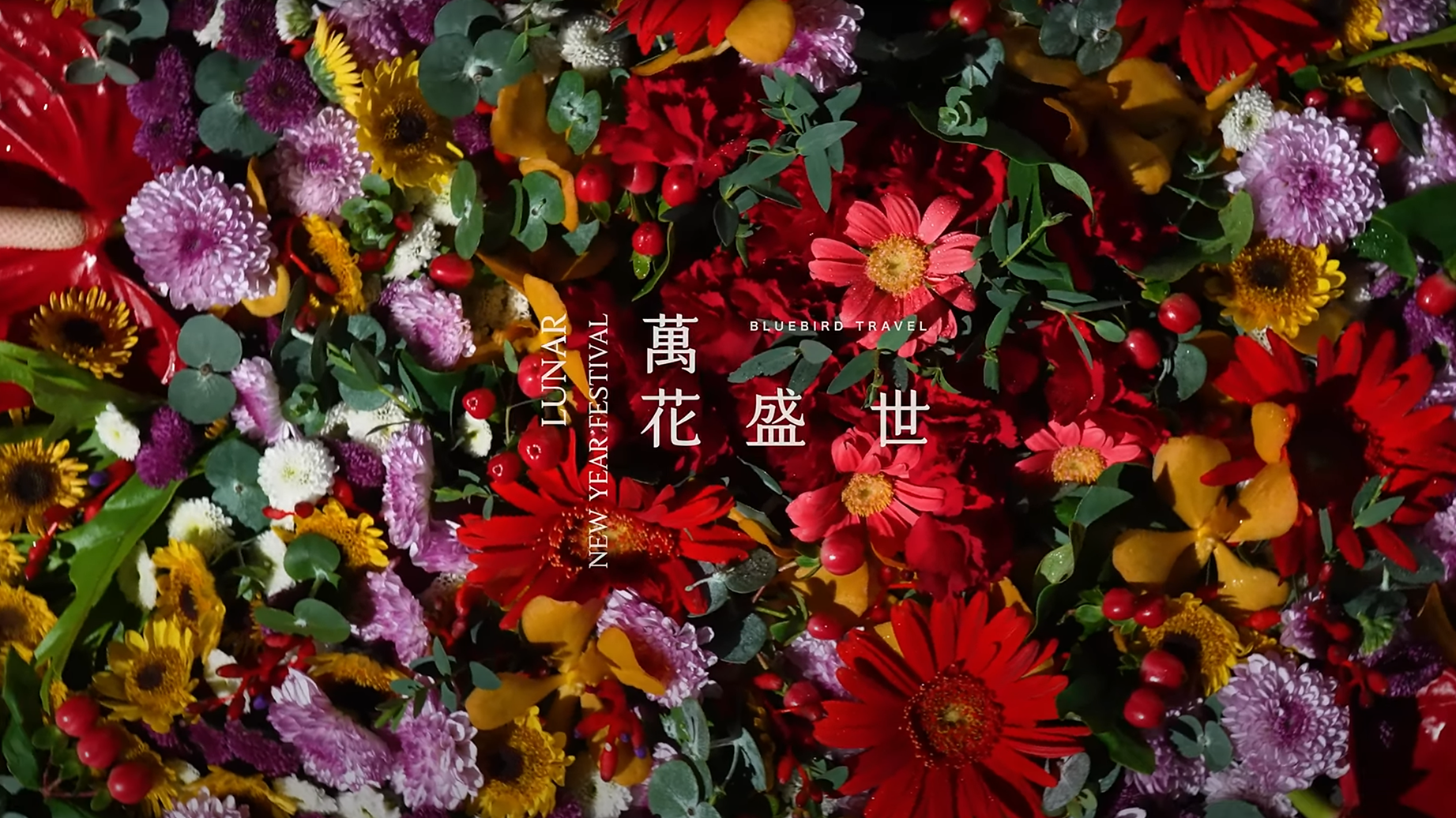 青鳥旅行 新年禮盒
